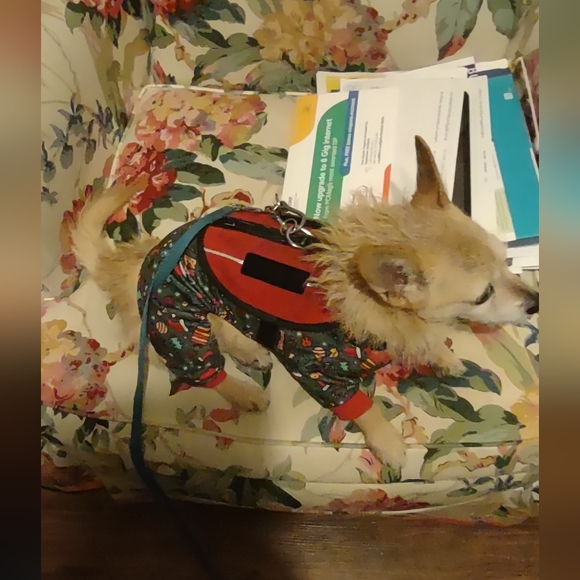 Meet your Posher, Katie - Picture 8 of 8